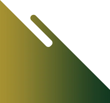 Vasco  taxi services